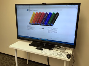251 computer