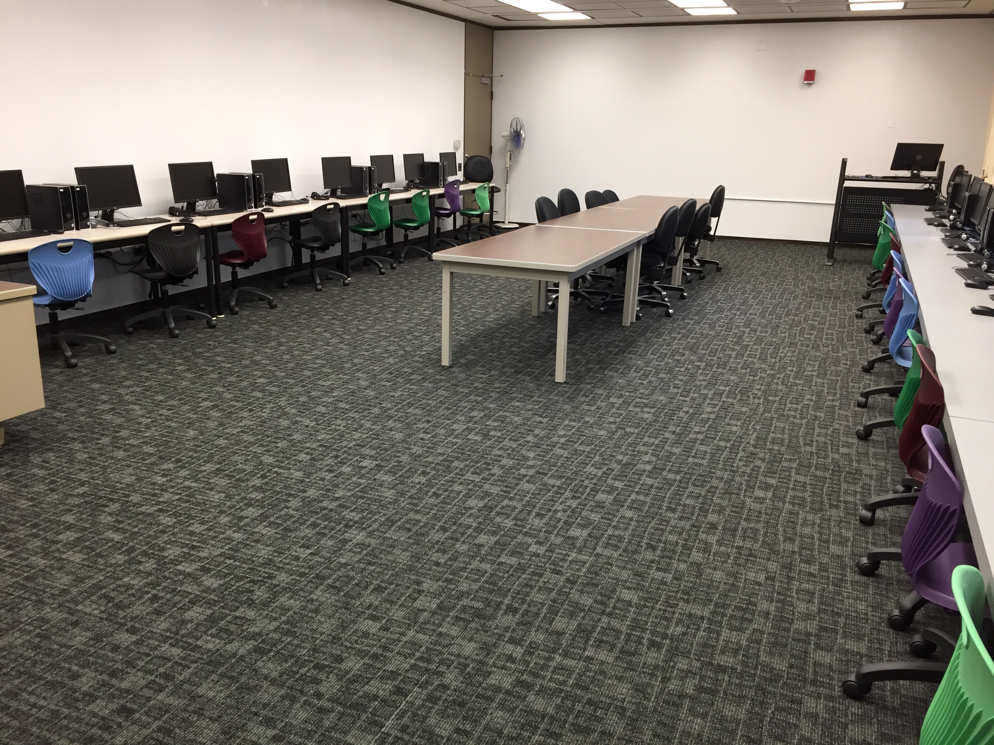 ewa lab back